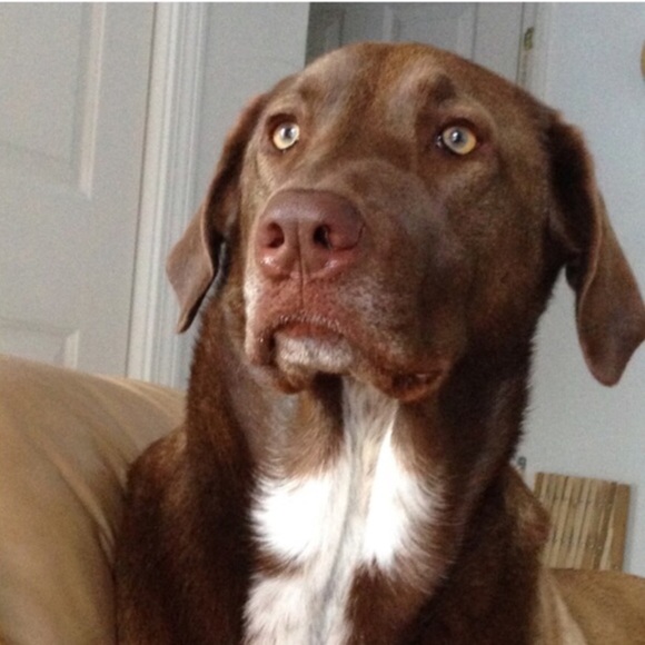 About myself! Yes!! I am a Bobby's Girl!!💘💞 - Picture 6 of 15